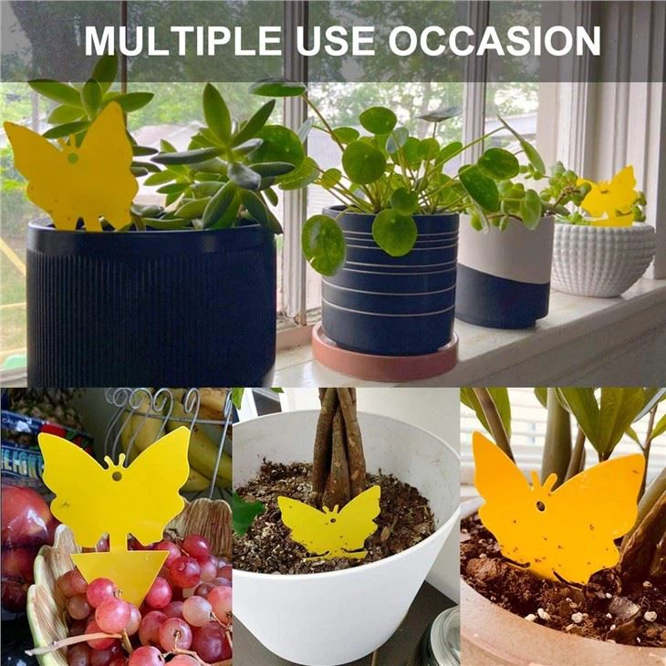 Faicuk 20-Pack Dual-Sided Yellow Sticky Traps For Flying Plant Insect Like Fungus Gnats, Aphids, Whiteflies, Leafminers - (6x8 Inches, Twist Ties Included)